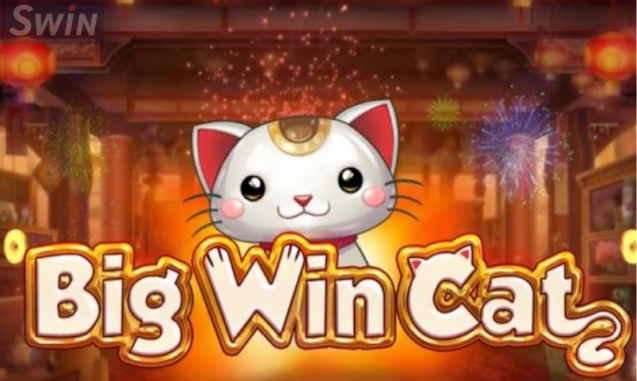 Big Win Cat