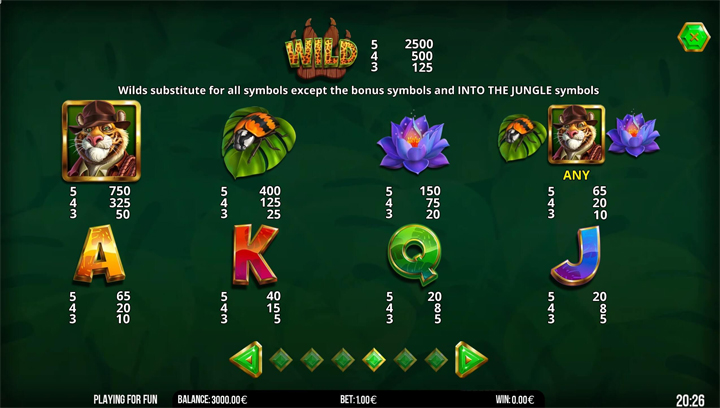 Into The Jungle Bonus Buy